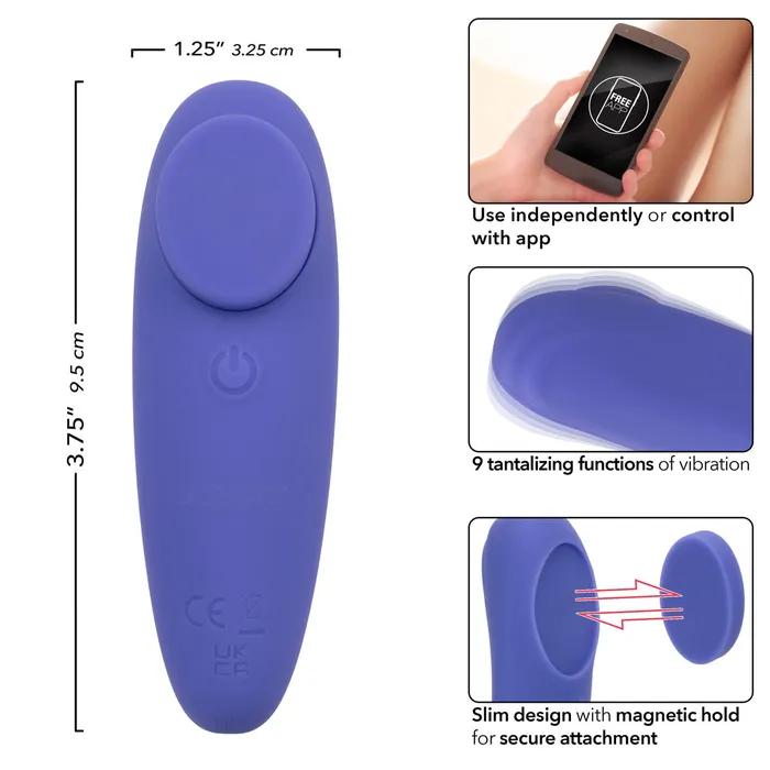 Cal Exotics Female Sex Toys CalExotics Connect Panty Teaser
